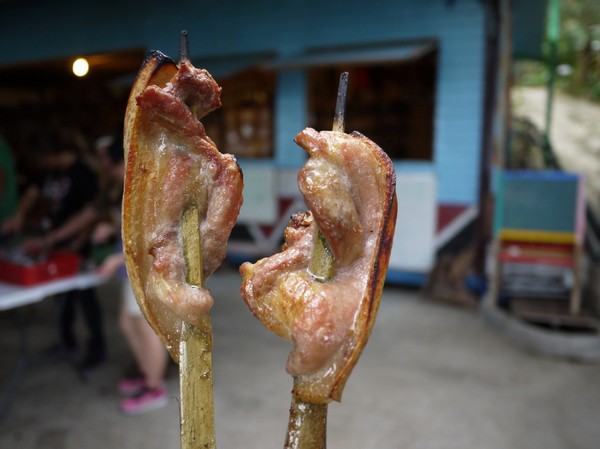 2016新北悠遊趣-烏來原住民部落(西羅岸)：2016新北悠遊趣-獵人學校(給樹營地)