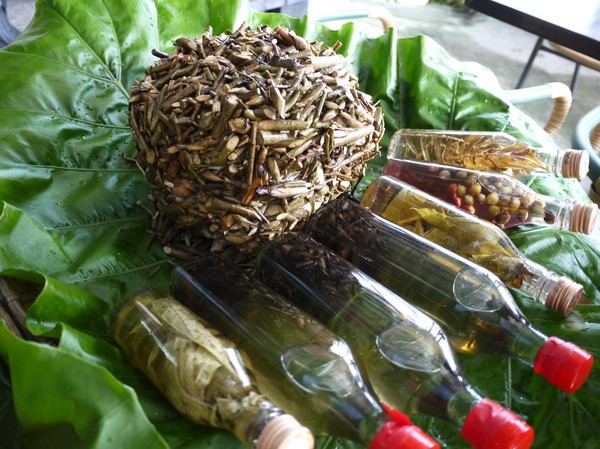 2016新北悠遊趣-烏來原住民部落(西羅岸)：2016新北悠遊趣-獵人學校(給樹營地)