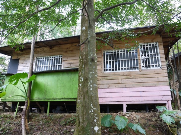 2016新北悠遊趣-烏來原住民部落(西羅岸)：2016新北悠遊趣-獵人學校(給樹營地)