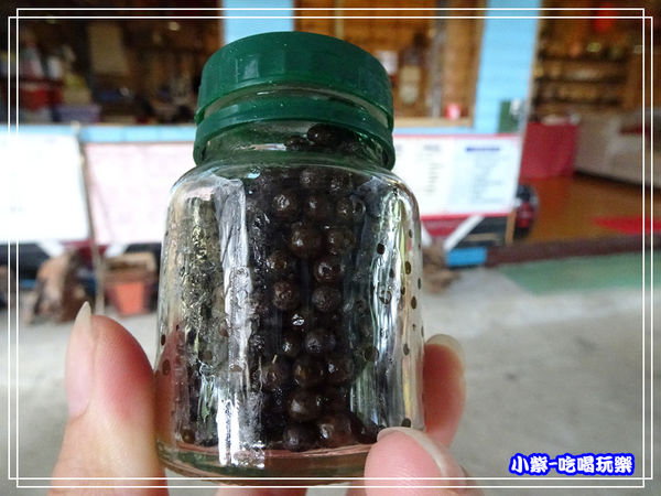 山胡椒-馬告 (1)29.jpg