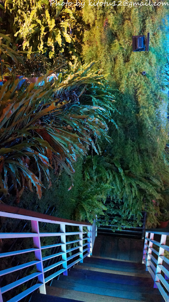 cm20161025___96875c430ceca7db56222d78d72