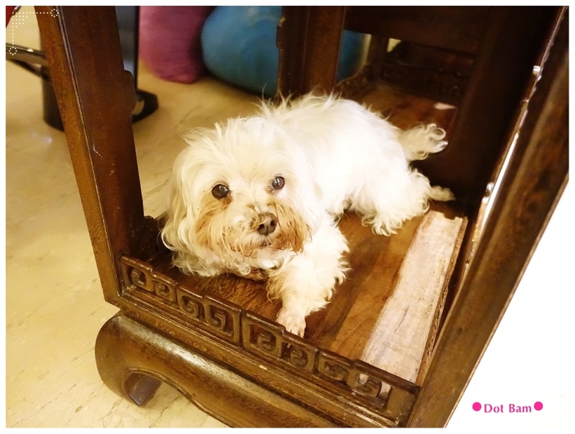 Pro cutti髮藝沙龍 環境 10.JPG