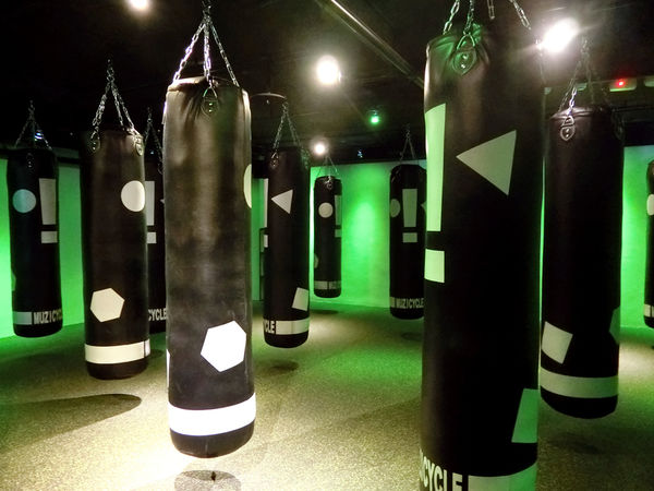 1480256111-3959407075_n.jpg?v=1480256127