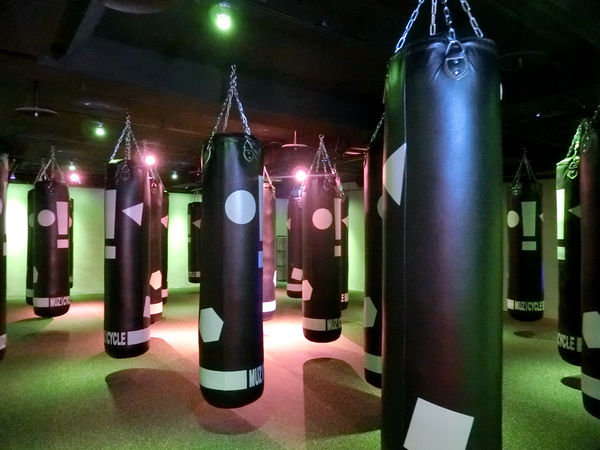 1480256111-3453647446_n.jpg?v=1480256127