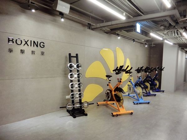 1480251882-1880217301_n.jpg?v=1480256125