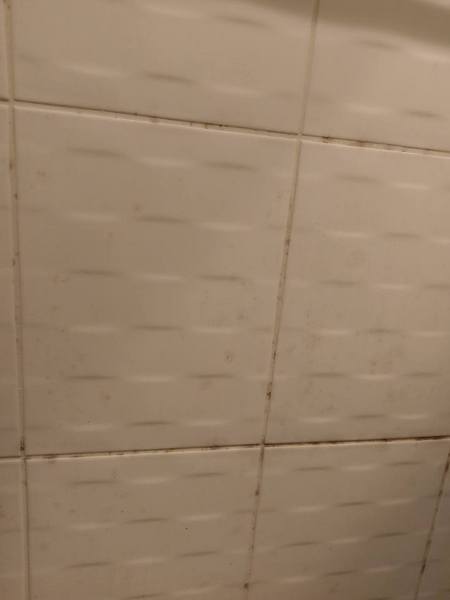 cm20161207___b81702870774256653ce89e895d