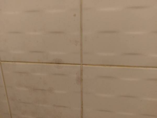 cm20161207___664b8cd7661d6560aa0c332de45