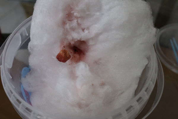 棉菓子工坊-創意棉花糖(桶裝)