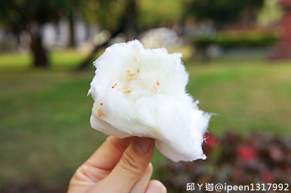 cm20161114___2cf1c28c295a47f0084ea546e90