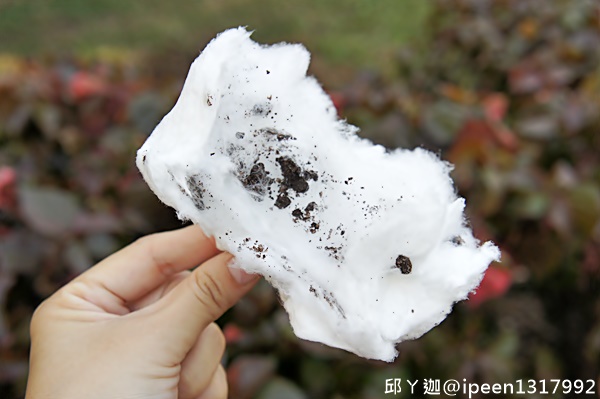 cm20161114___d9a6c3fde920136e13821e5d3b3