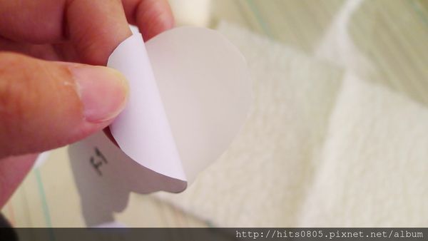 P1540668 (1280x721).jpg