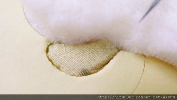 P1540686 (1280x721).jpg