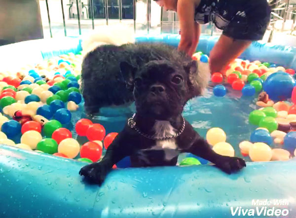 6add04c3b99387f1bcc31f54f535b454_tm_3