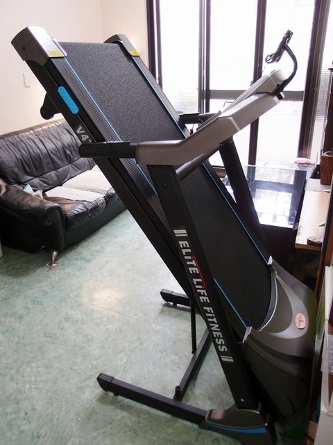 cats5.jpg - 日誌用相簿