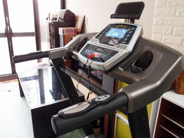 cats8.jpg - 日誌用相簿