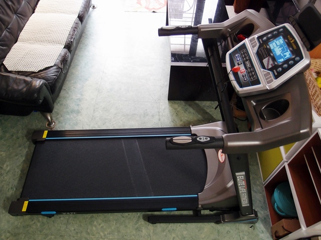 cats4.jpg - 日誌用相簿