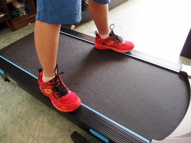 cats11-3.jpg - 日誌用相簿