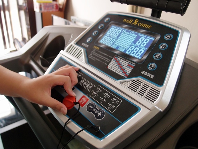 cats10.jpg - 日誌用相簿