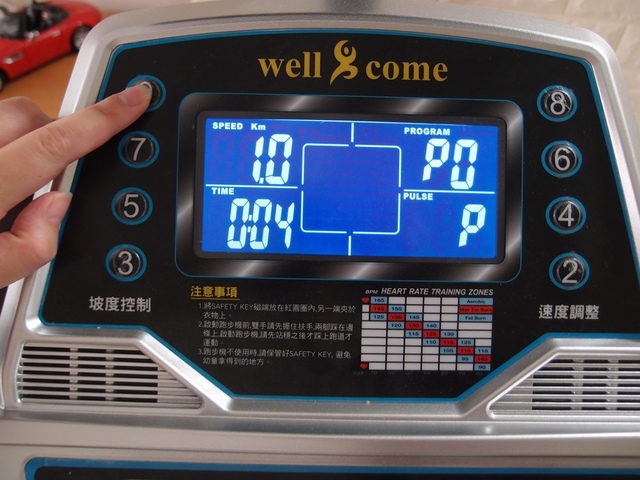 cats7.jpg - 日誌用相簿