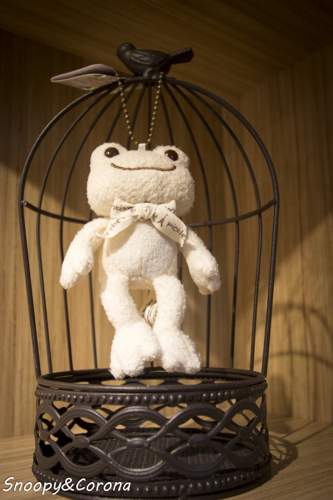 37396-1481361318-382761372_l.jpg?v=1481364615