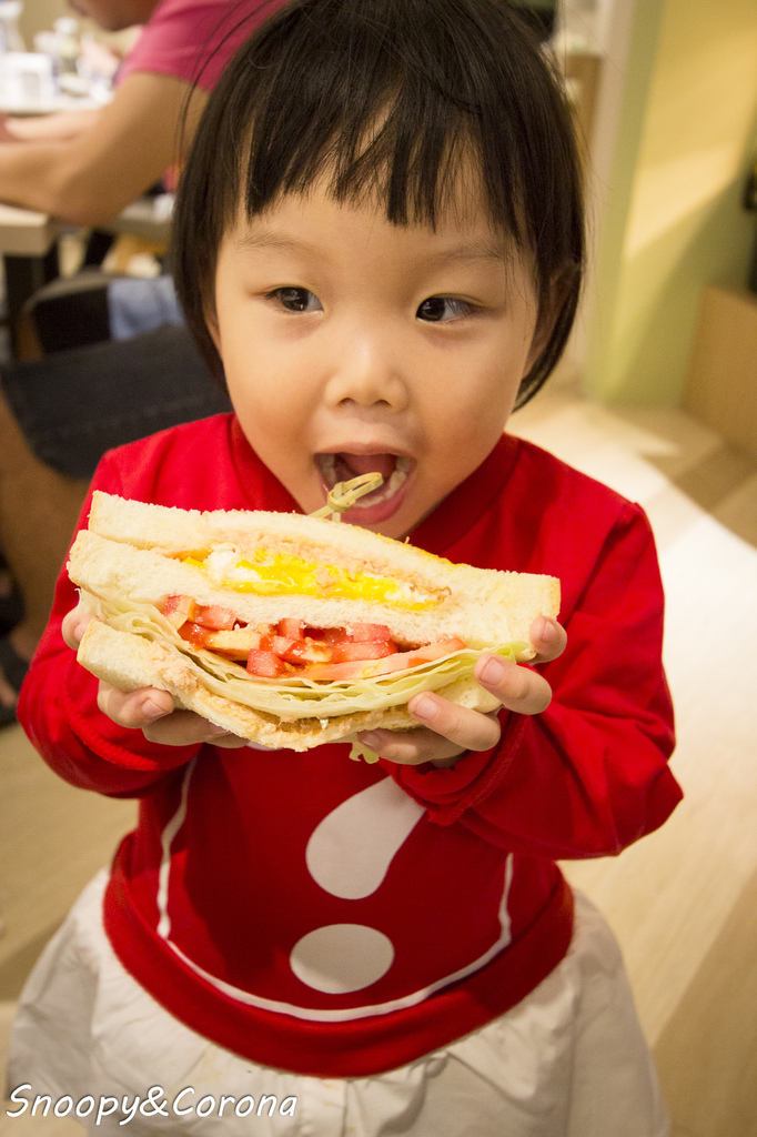 37396-1481361217-282126753_l.jpg?v=1481364616