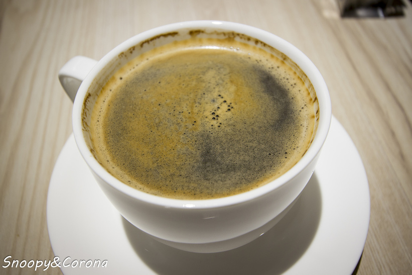 37396-1481361198-1509501646_l_thumb.jpg?v=1481364616