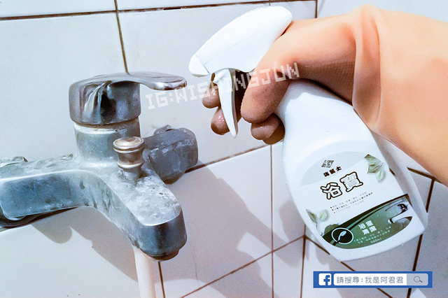 居家清潔海麗士_阿君君-3350