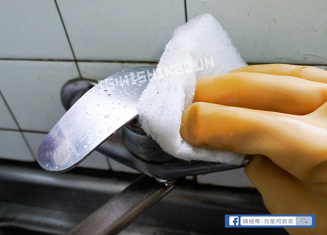 居家清潔海麗士_阿君君-3321