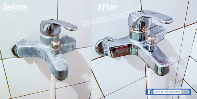 居家清潔海麗士_阿君君-3349