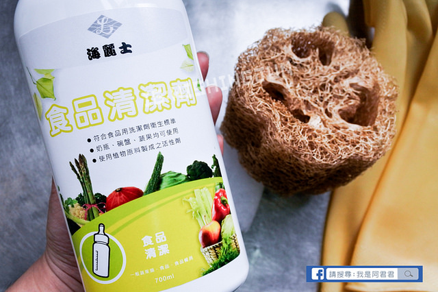 居家清潔海麗士_阿君君-3294