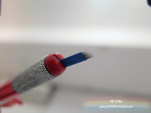 SAM_6895_mh1482784823653