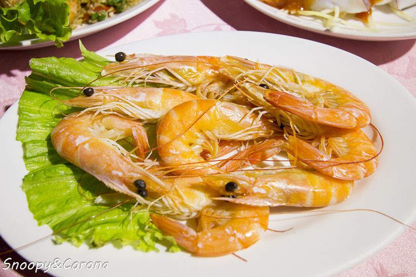 40014-1483776313-3287350385_l_thumb.jpg?v=1483781922