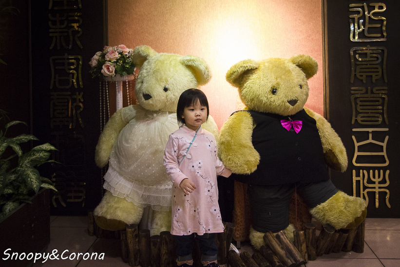 40014-1483776482-302594530_l_thumb.jpg?v=1483781922