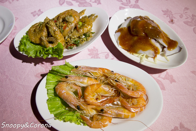 40014-1483776310-377669725_l_thumb.jpg?v=1483781922