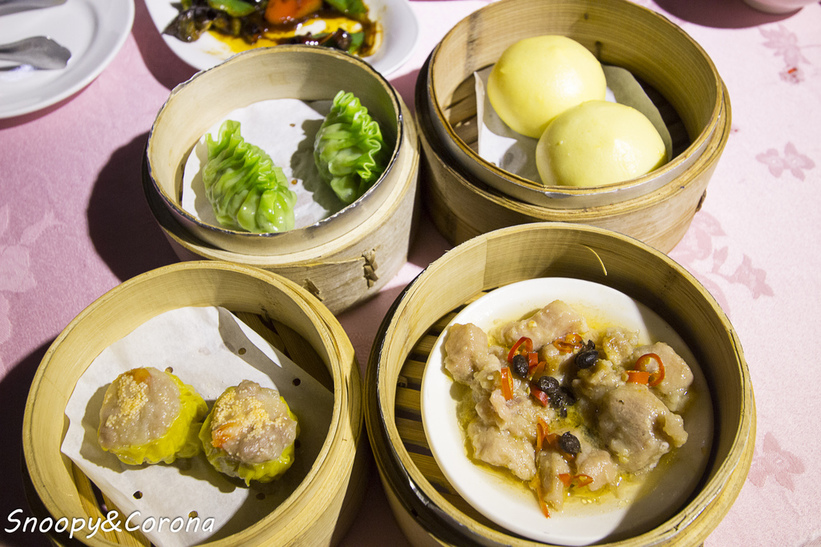 40014-1483776354-445303980_l_thumb.jpg?v=1483781922