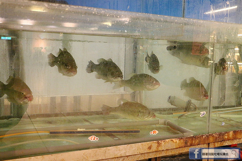 板橋港式飲茶吃到飽廣香龍華樓餐廳011