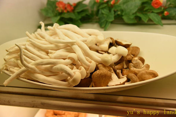 15391037_1374054269280047_7298432673202556129_n