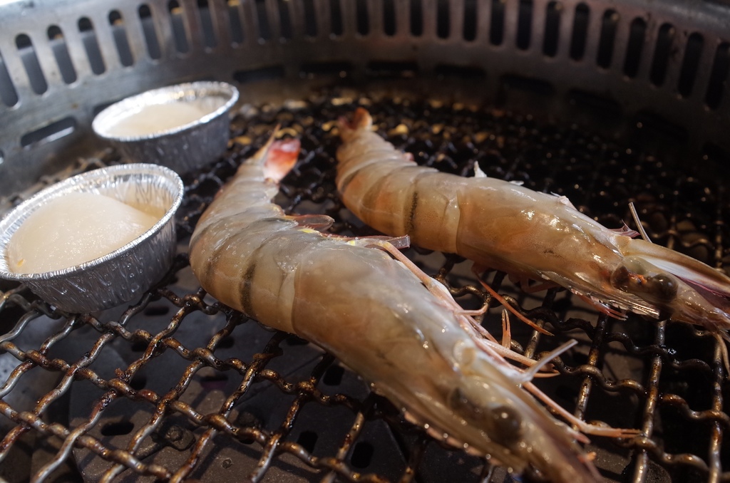 40821-1481963216-2201743955_l.jpg?v=1481963220