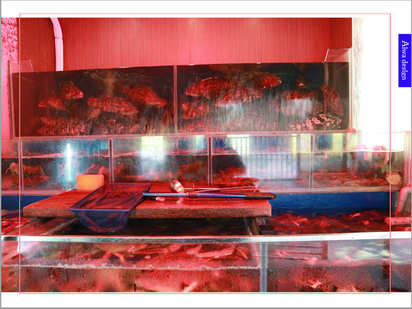 蒸的最健康【海之味新竹北大店-蒸氣養生料理】豪華龍蝦、無油料理， 享受食材最鮮甜的原汁原味-12.jpg