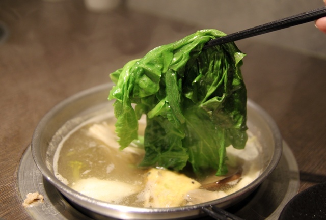 cats8-1.jpg - 日誌用相簿