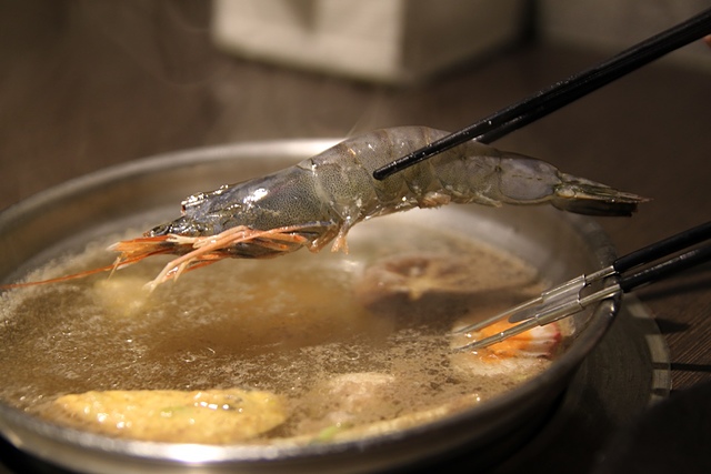 cats10-3.jpg - 日誌用相簿