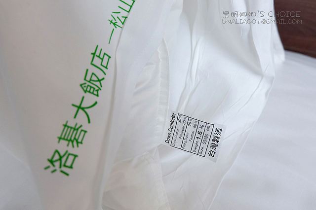 洛碁大飯店麗景雙人房羽絨枕