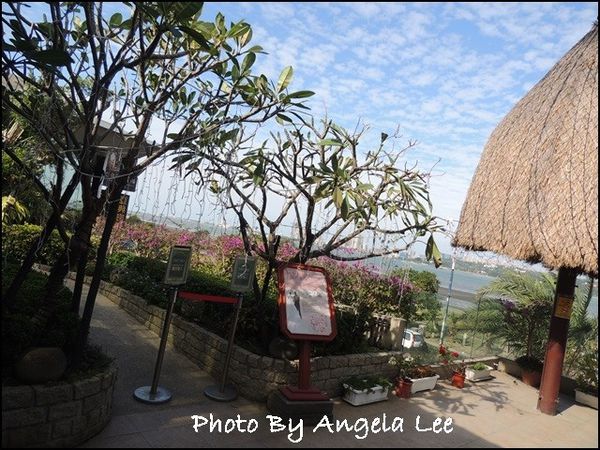 41905-1486005161-413673215_n.jpg?v=1486005165