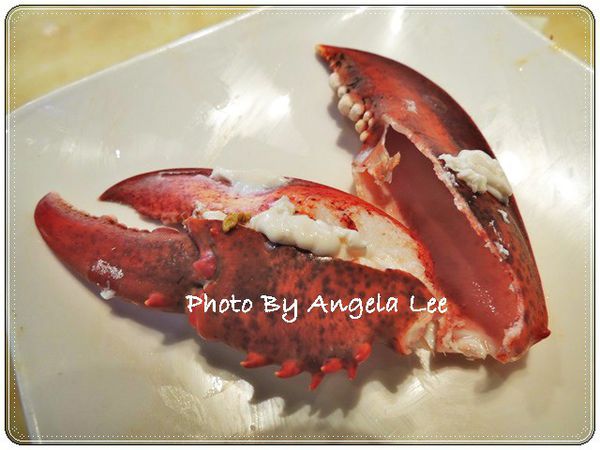 41906-1485965882-1586117746_n.jpg?v=1485965883