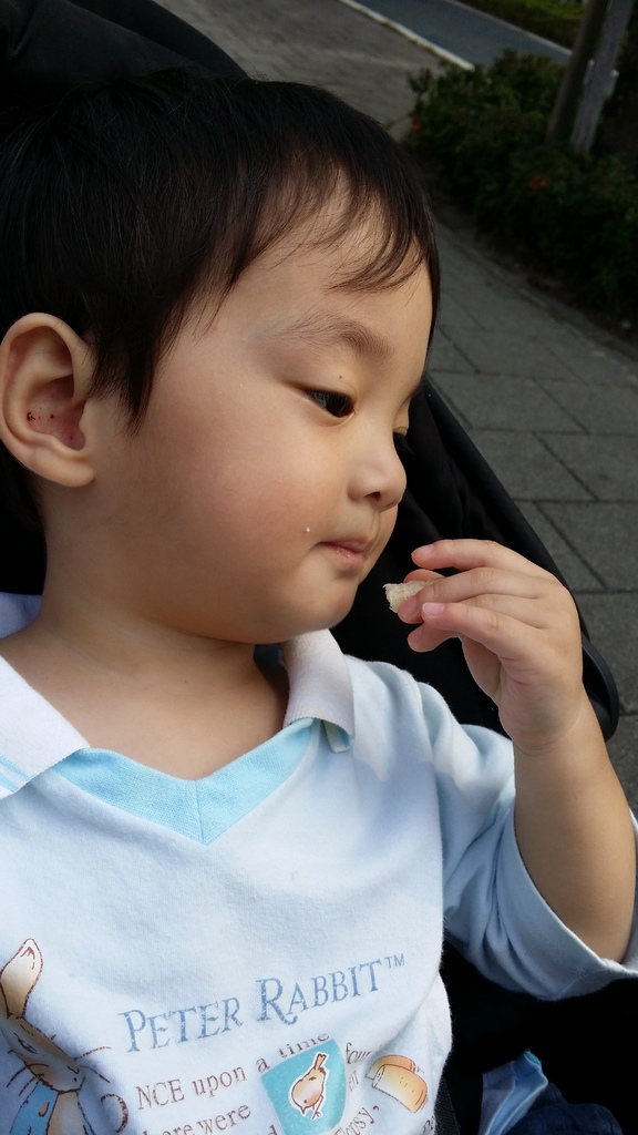 41955-1482915414-2424604982_l.jpg?v=1482916106