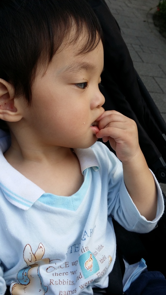 41955-1482915413-3958048719_l.jpg?v=1482916106