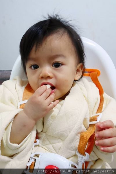 P1000542 (856x1280).jpg