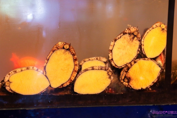 cm20161229___17c3d4c7e0661a07c2bc78166ac