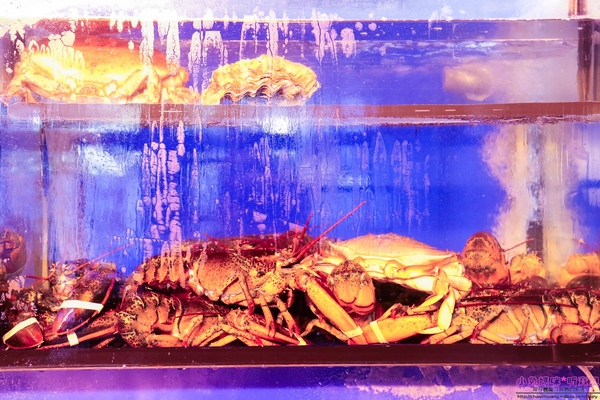 cm20161229___7075de00cf32c6c2a2bfb00b240