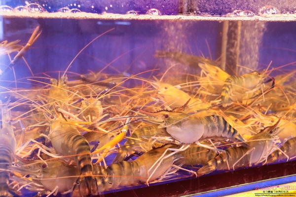 cm20161229___755c2320c2aab0f0901fdc8d21d